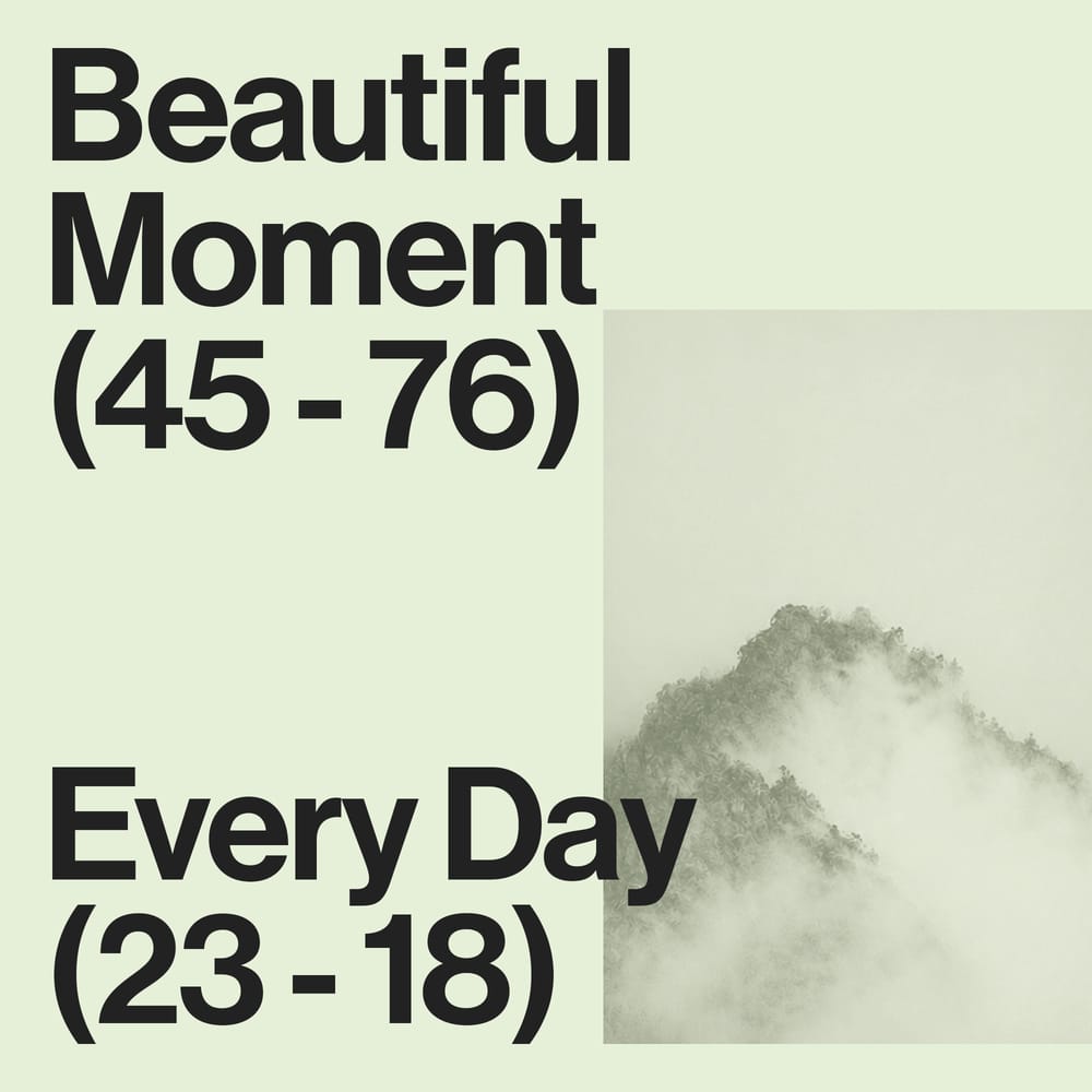 Editorial text card reading Beautiful Moment Every Day on sage green and mist background