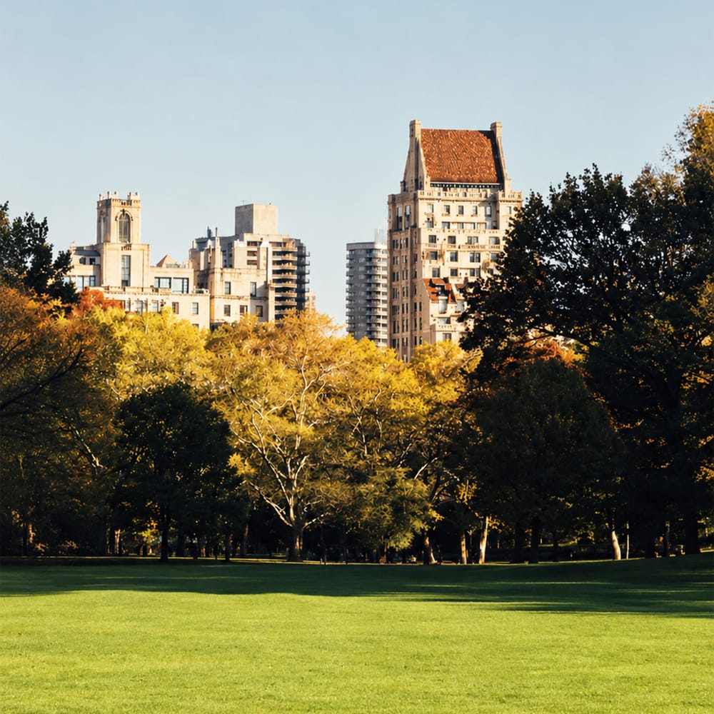 Autumn trees in city park with golden leaves and urban buildings in background