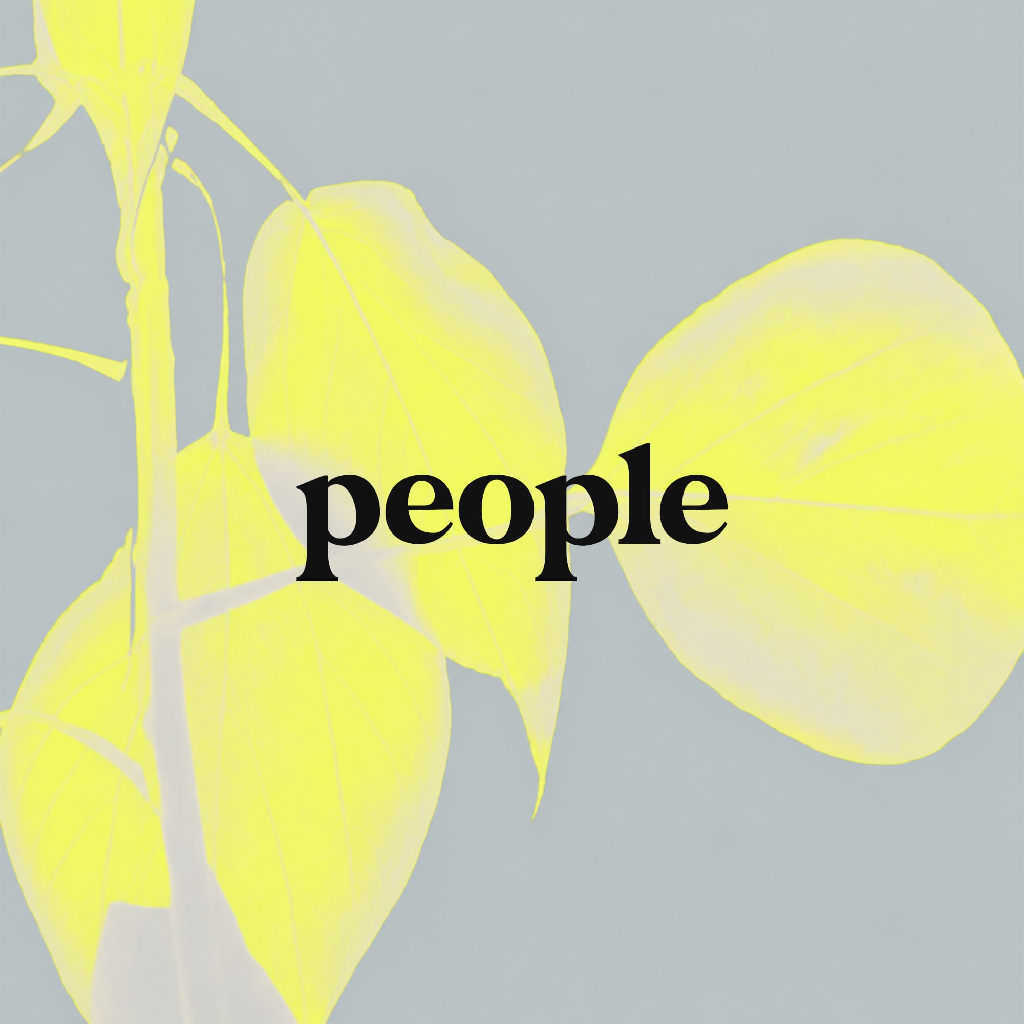 Bold lowercase people text on lime yellow background graphic design card